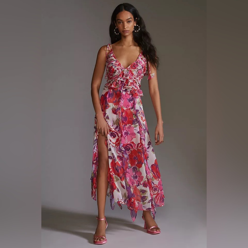 MISA Diana Floral Chiffon Maxi Dress NWT